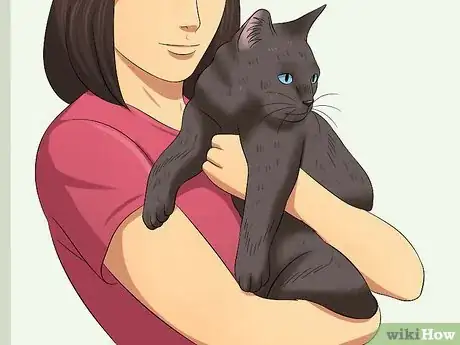 Image titled Carry a Cat Step 2