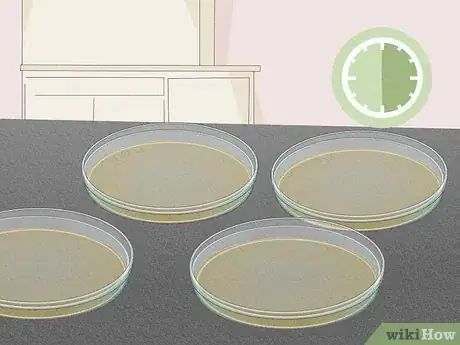 Image titled Create Agar Step 9