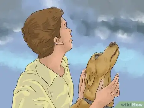 Image titled Calm a Dog During Thunderstorms Step 12