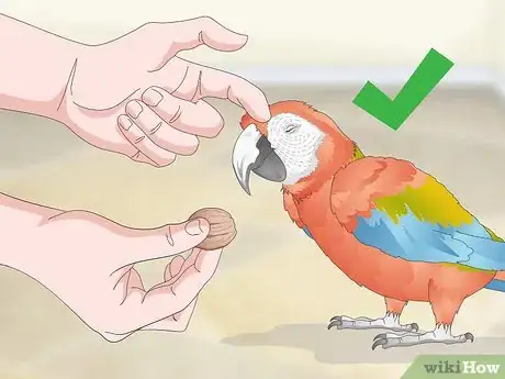 Image titled Bond with a Macaw Step 13