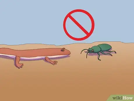 Image titled Feed a Salamander Step 3