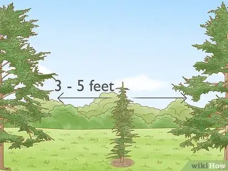 Image titled Plant Cedar Trees Step 2