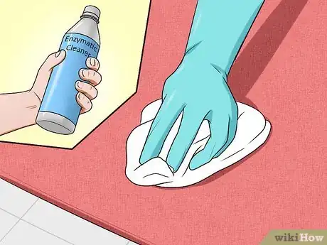 Image titled Remove Cat Urine Smell Step 2