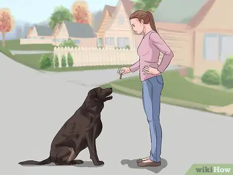 Image titled Make Your Labrador Retriever Happier Step 5