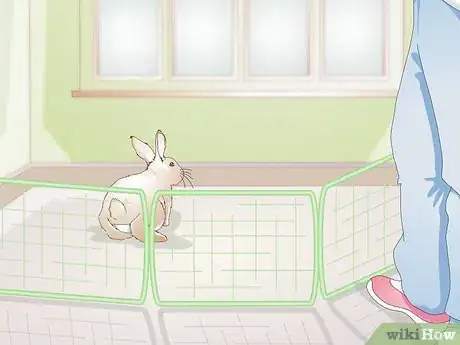 Image titled Care for Your Rabbit After Neutering or Spaying Step 7
