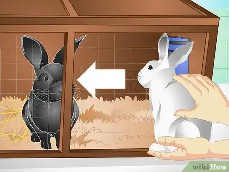 Image titled Keep a Rabbit Warm Step 7