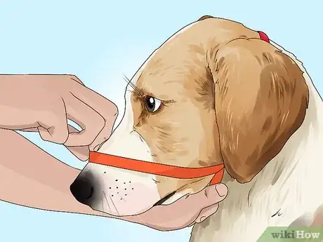 Image titled Put a Gentle Leader on a Dog Step 9