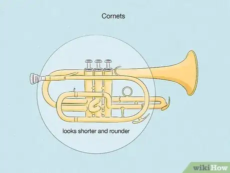 Image titled Cornet vs Trumpet Step 4