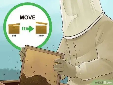 Image titled Get Started Beekeeping Step 17