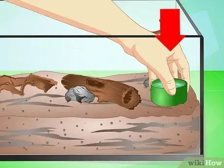 Image titled Make a Millipede Habitat Step 4