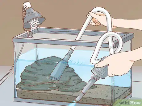Image titled Care for Turtles Step 15
