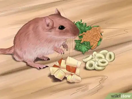 Image titled Make Your Gerbil Happy Step 7