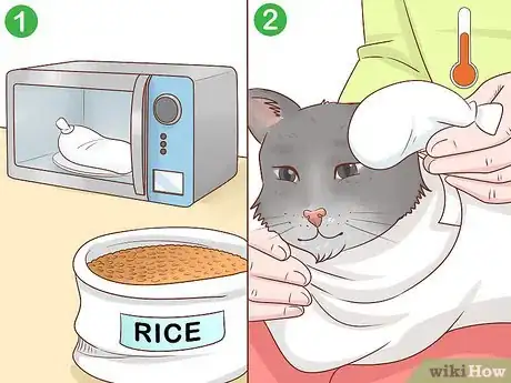 Image titled Prepare Your Cat for a Blood Test Step 12