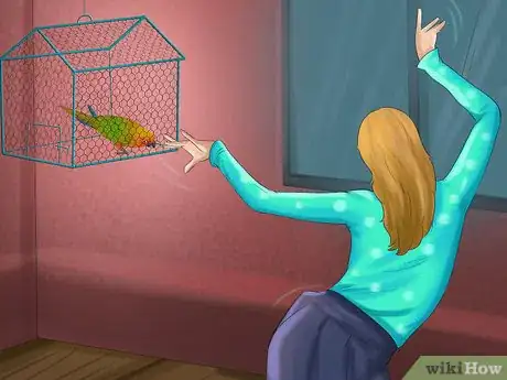 Image titled Care for a Conure Step 20