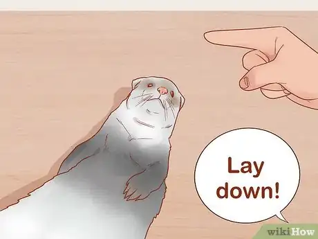 Image titled Train Your Ferrets to Do Tricks Step 15