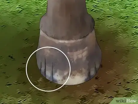 Image titled Clean a Horse's Hoof Step 12