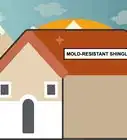 Clean Mold Off a Roof