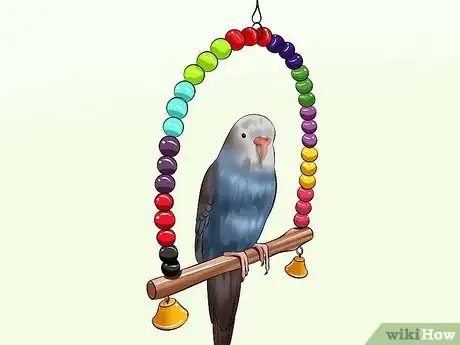 Image titled Play With Your Budgie Step 3