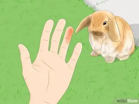 Image titled Read Bunny Body Language Step 8
