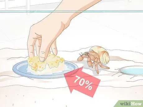 Image titled Feed Hermit Crabs Step 10