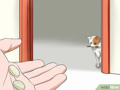 Image titled Keep Fish when You Have Cats That Like to Hunt Step 12
