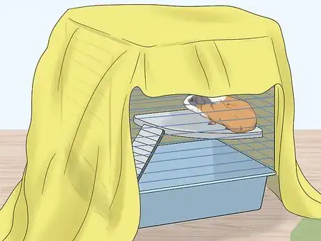 Image titled Hold a Guinea Pig Step 1