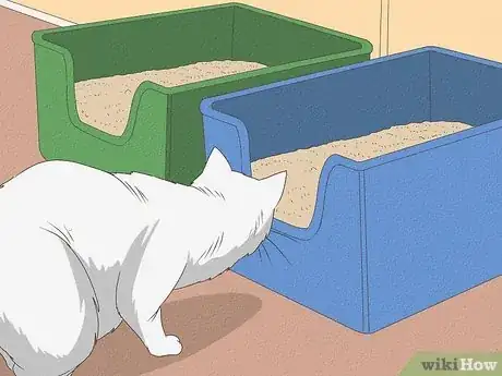 Image titled Why Do Cats Bury Their Poop Step 7