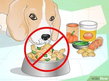 How to Add Fiber to a Dog s Diet 11 Steps with Pictures