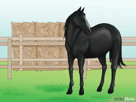 Image titled Distinguish Horse Color by Name Step 2