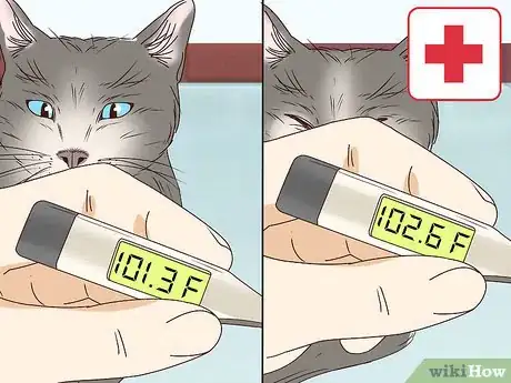Image titled Tell if a Cat Is in Labor Step 10