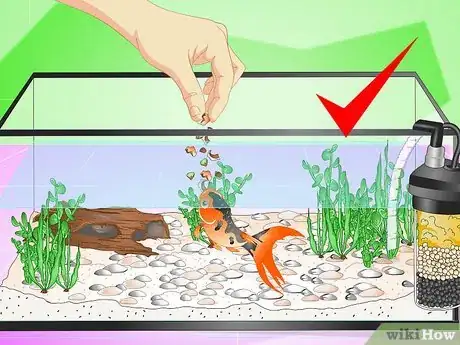 Image titled Set up a Fish Tank (for Goldfish) Step 10