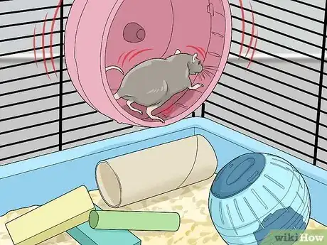 Image titled Play with Your Pet Rat Step 6