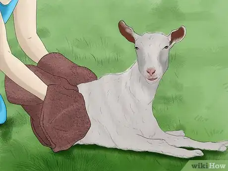 Image titled Wash a Goat Step 9