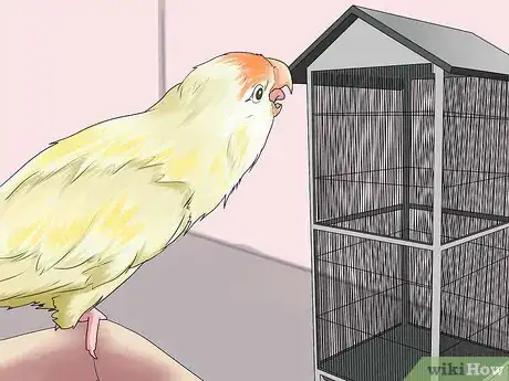 Image titled Make a Safe Environment for Your Pet Bird Step 28
