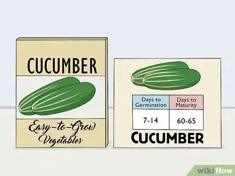 Image titled Pick Cucumbers Step 1