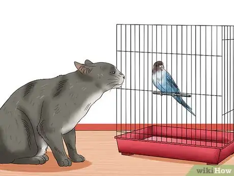 Image titled Stop Cats from Getting Birds Step 10