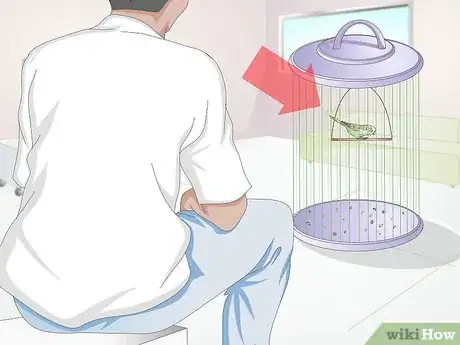 Image titled Get Rid of Mites on Budgies Step 1