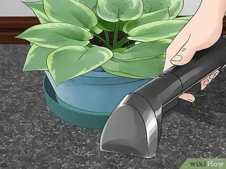 Image titled Prevent Houseplants From Damaging the Carpet Step 10