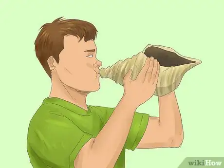 Image titled Blow a Conch Shell Step 1