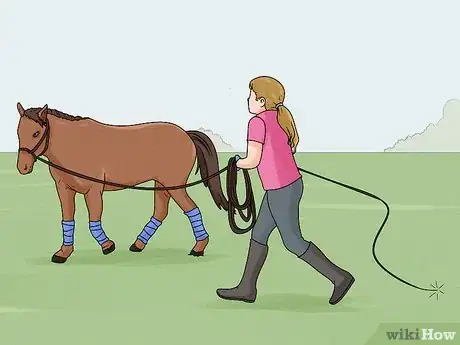 Image titled Lunge a Horse Step 13
