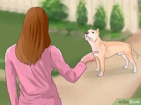 Image titled Teach Your Dog to Play Shy Step 15