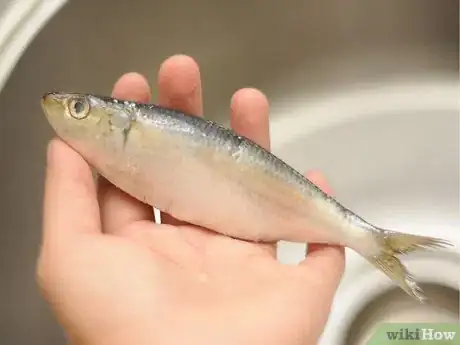 Image titled Cook Sardines Step 1