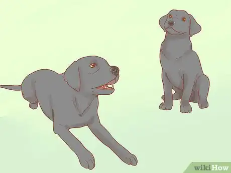 Image titled Get a Service Dog Step 9