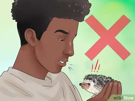 Image titled React when Your Hedgehog Bites You Step 1