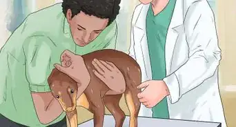 Know If Your Dog Has Cancer