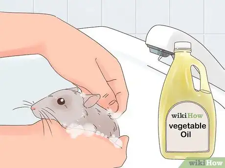 Image titled Treat External Parasites on a Pet Rat Step 4