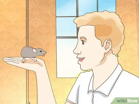 Image titled Teach a Rat Its Name Step 1
