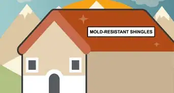 Clean Mold Off a Roof