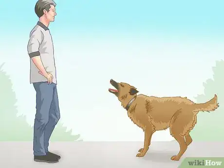 Image titled Stop a Dog Chase from Becoming an Attack Step 1