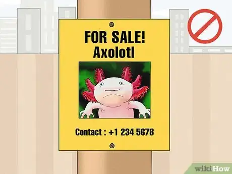 Image titled Help Prevent Axolotl Extinction Step 2